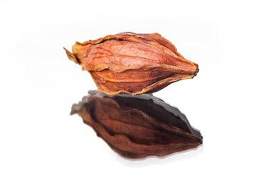 《真女神转生5：复仇》公开实体版预购特典：绘制有恶魔形象的“恶魔扑克牌”